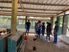 IMG-4494 (1)